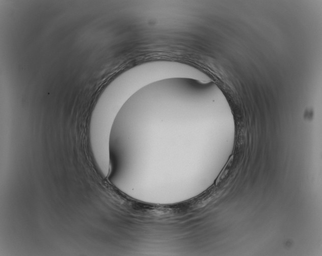 X0000094360317200711301431