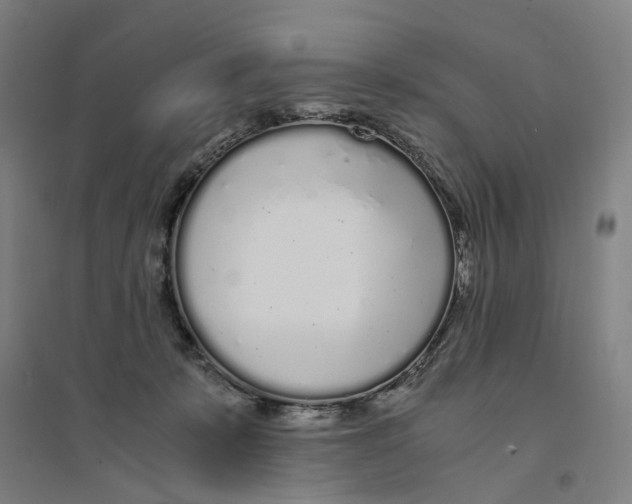 X0000094360319200711301431
