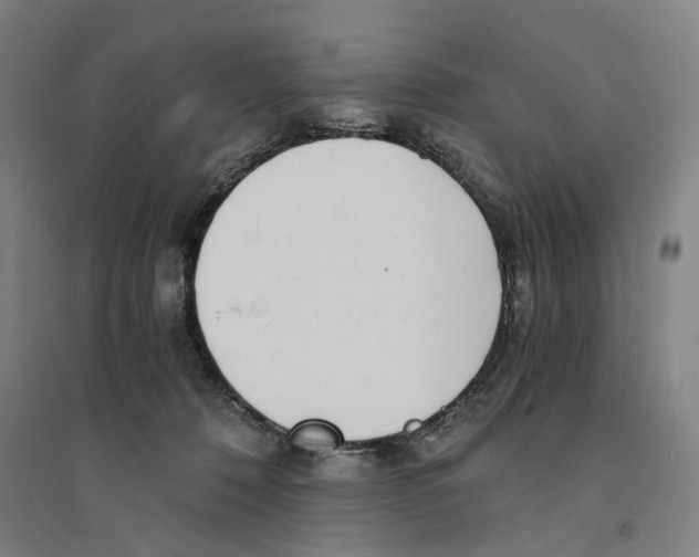 X0000094360320200711301431
