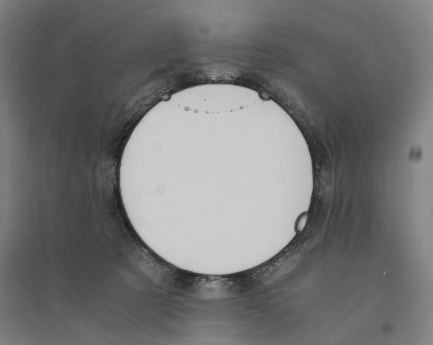 X0000094360321200711301431