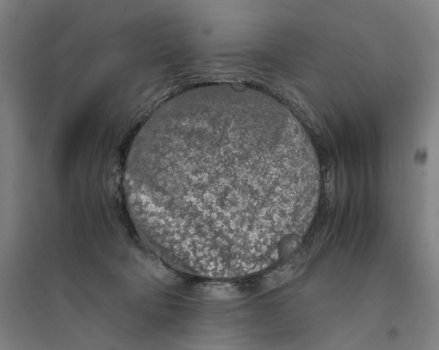 X0000094360322200711301431