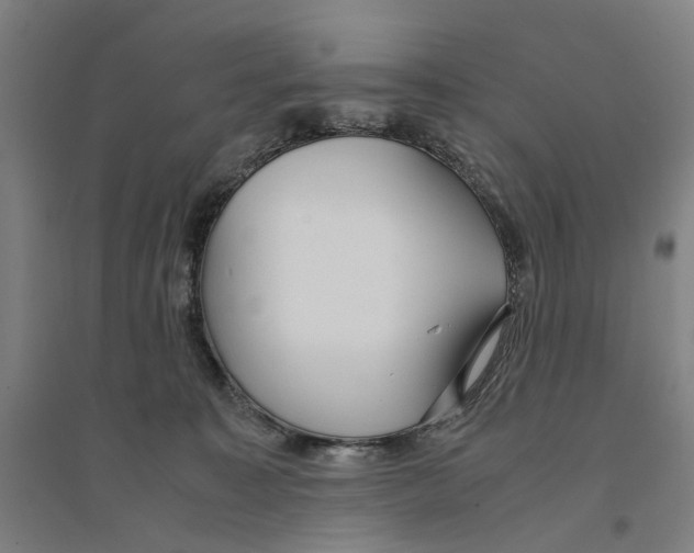 X0000094360323200711301431