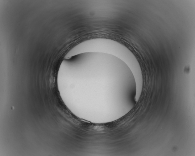 X0000094360324200711301431