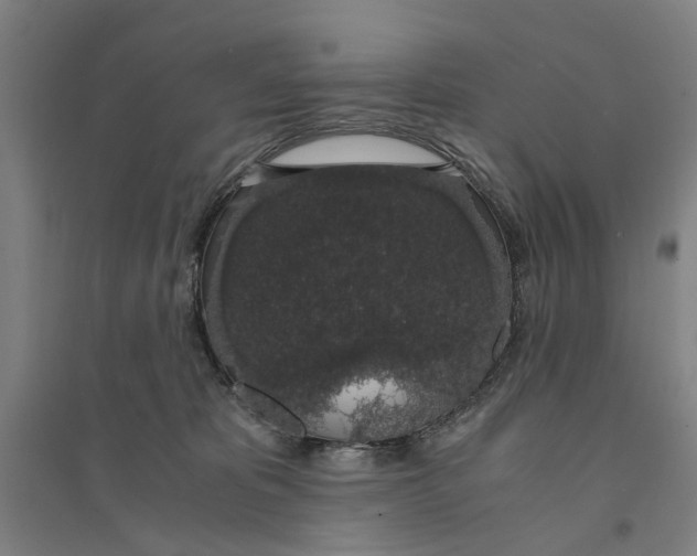 X0000094360325200711301431