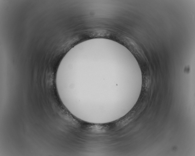 X0000094360326200711301431
