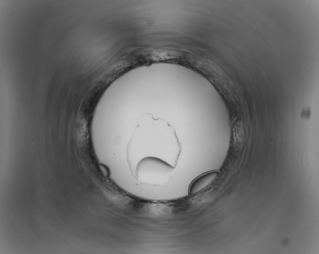 X0000094360327200711301431