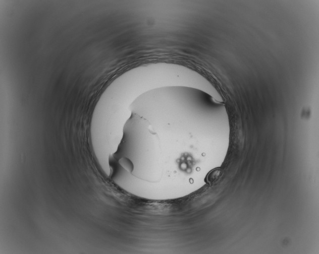 X0000094360328200711301431