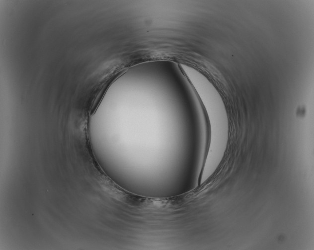 X0000094360329200711301431