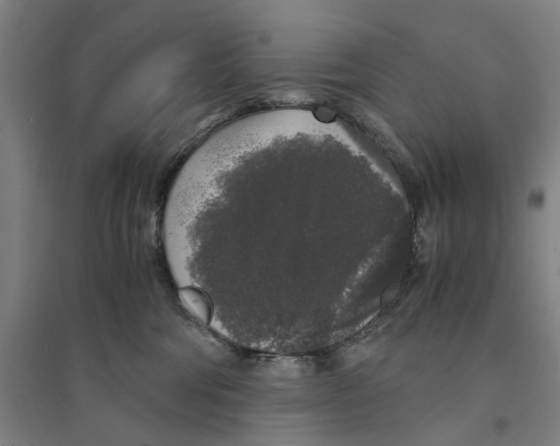 X0000094360330200711301431