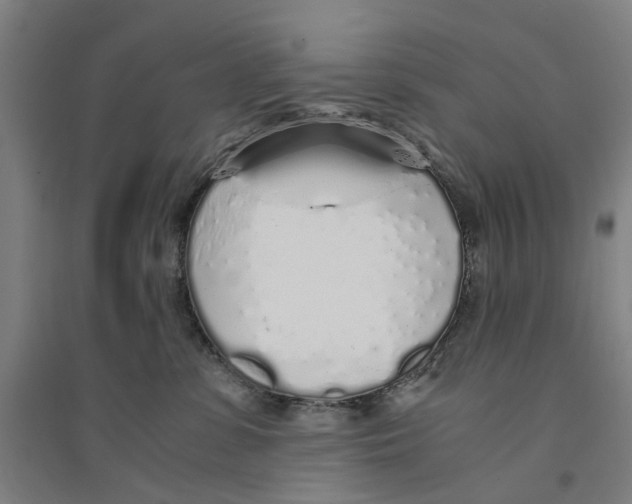 X0000094360331200711301431