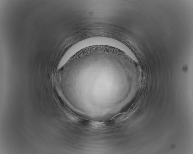 X0000094360333200711301431