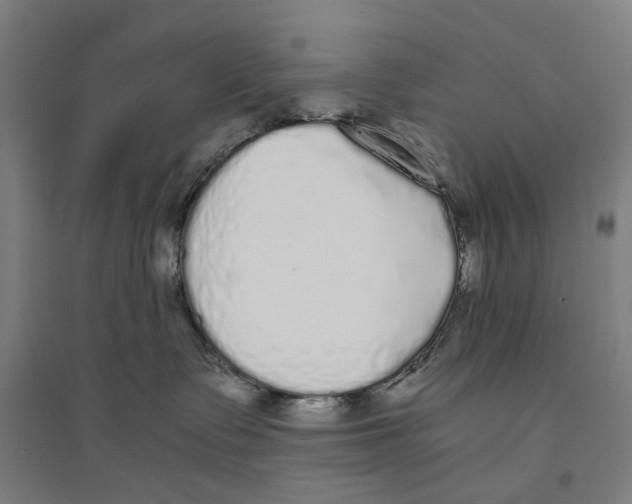 X0000094360335200711301431
