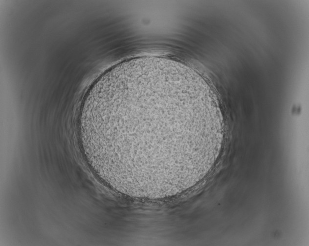 X0000094360337200711301430