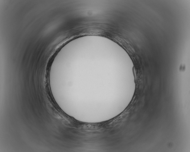 X0000094360338200711301430
