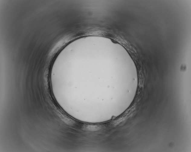 X0000094360341200711301430