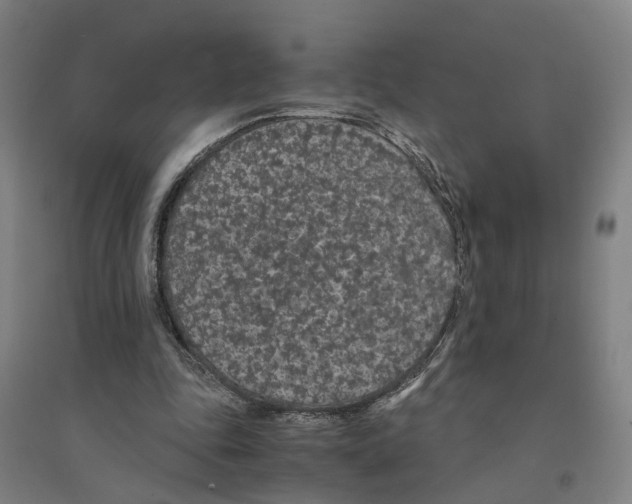 X0000094360343200711301430
