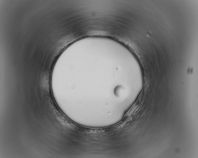 X0000094360345200711301430