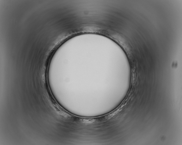 X0000094360346200711301430