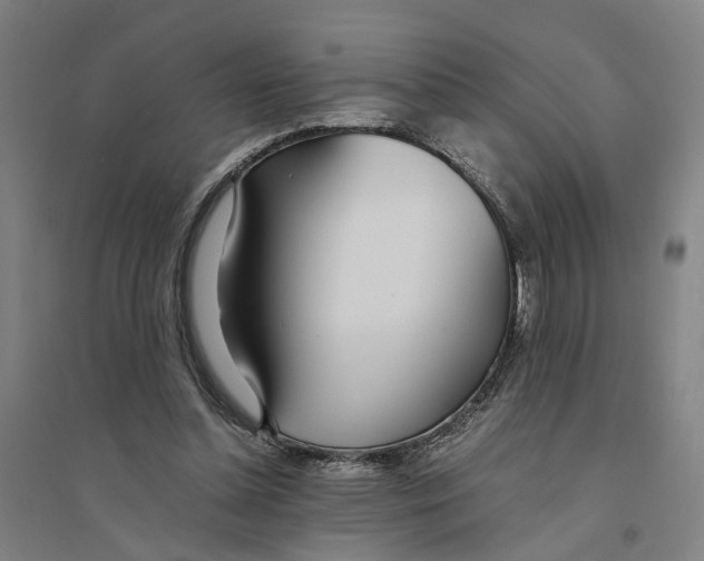 X0000094360348200711301430