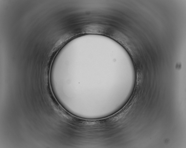 X0000094360349200711301430