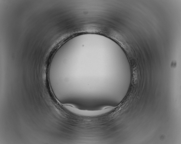 X0000094360350200711301430