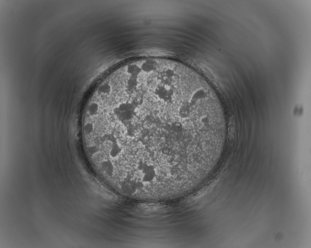 X0000094360351200711301430