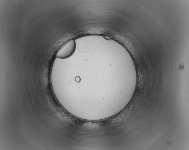 X0000094360354200711301430