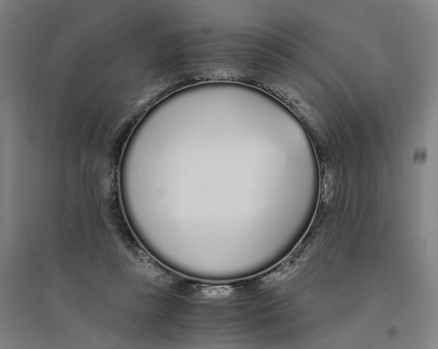 X0000094360355200711301430