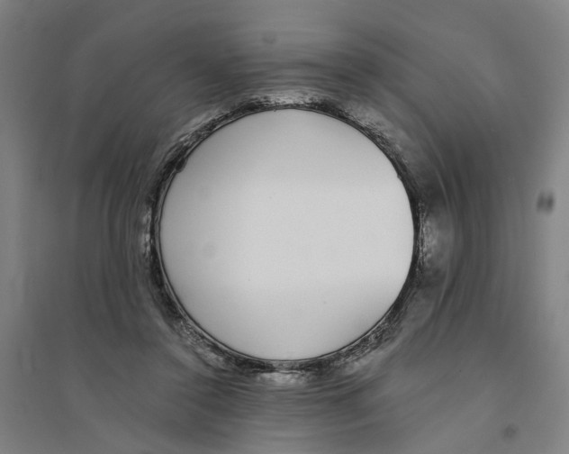 X0000094360356200711301430