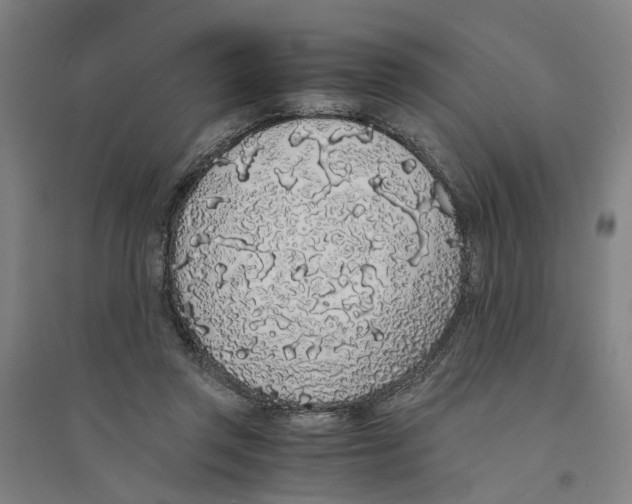 X0000094360357200711301430