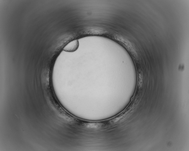 X0000094360358200711301430
