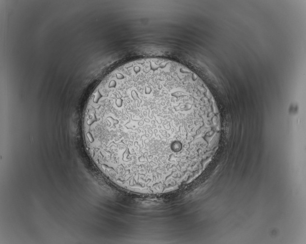 X0000094360359200711301430