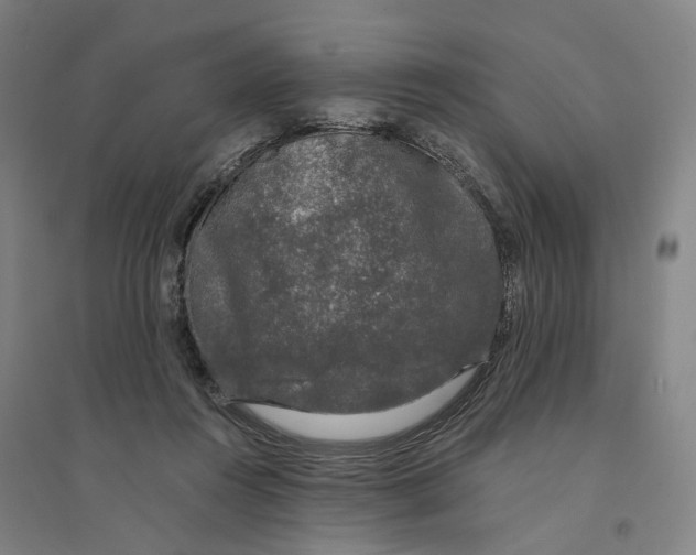 X0000094360360200711301430