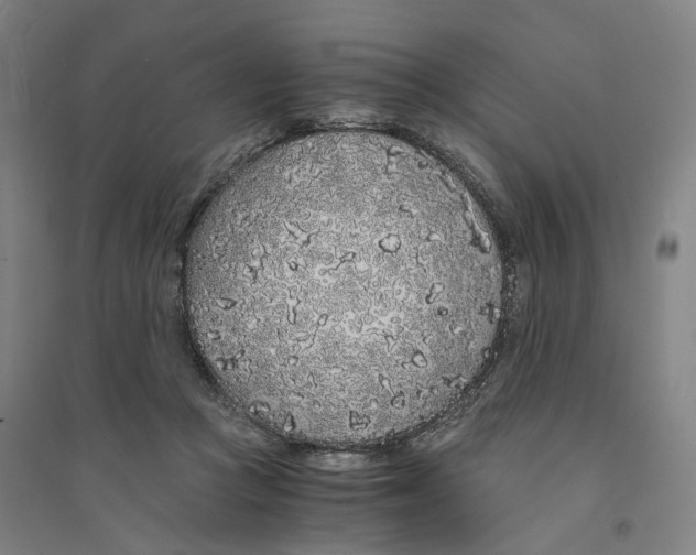X0000094360361200711301430