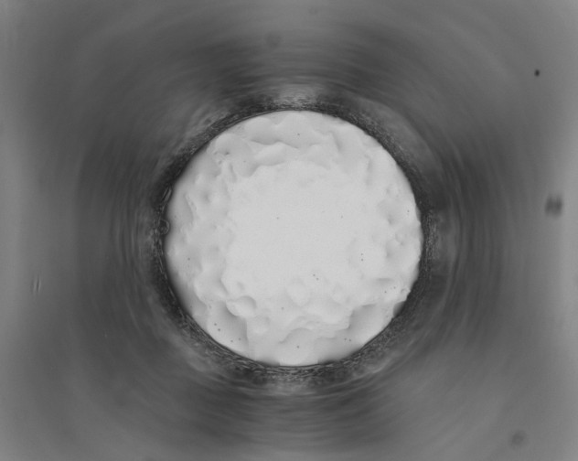 X0000094360363200711301430
