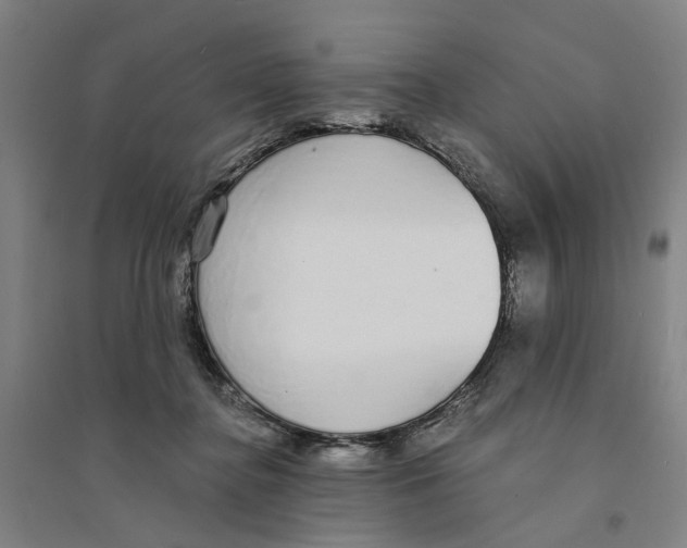 X0000094360364200711301430