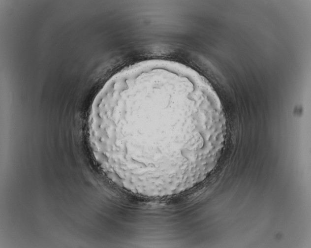 X0000094360366200711301430
