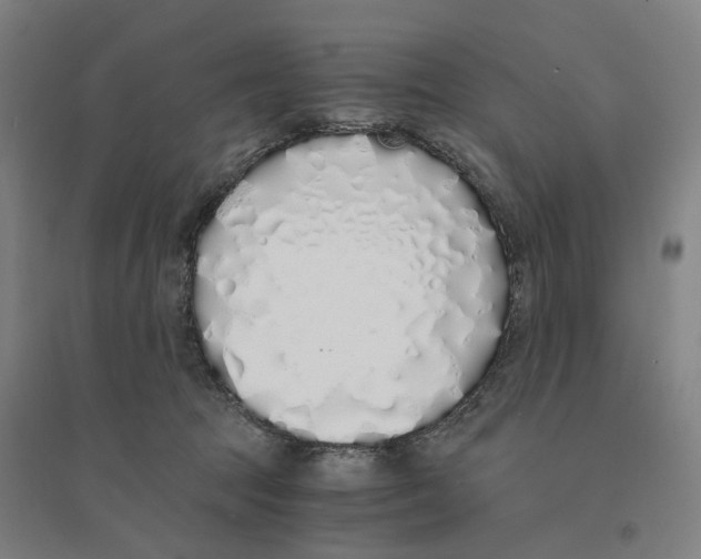 X0000094360369200711301430