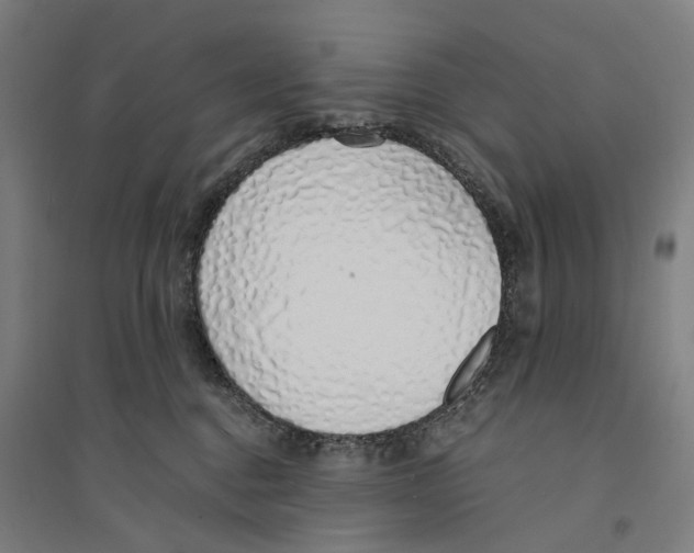 X0000094360376200711301430