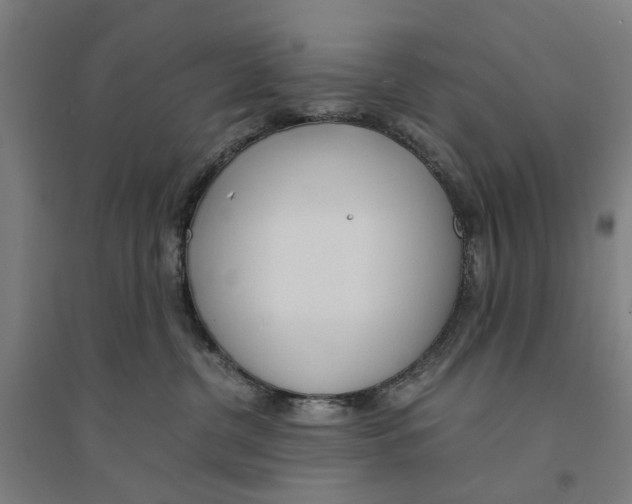 X0000094360380200711301431