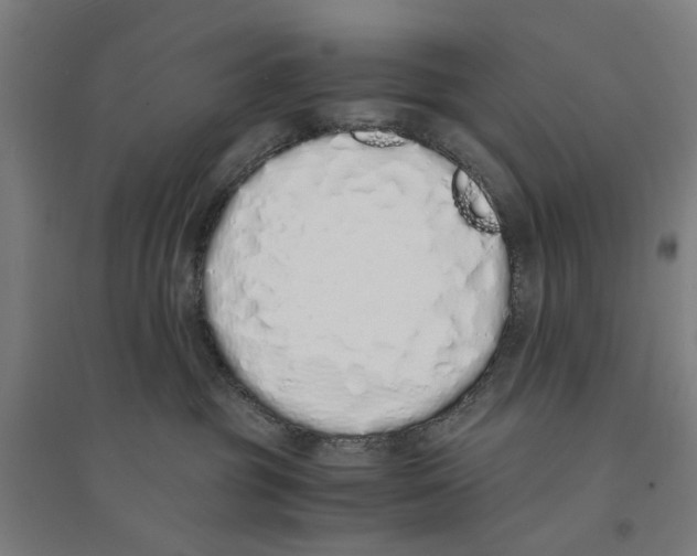 X0000094360381200711301431