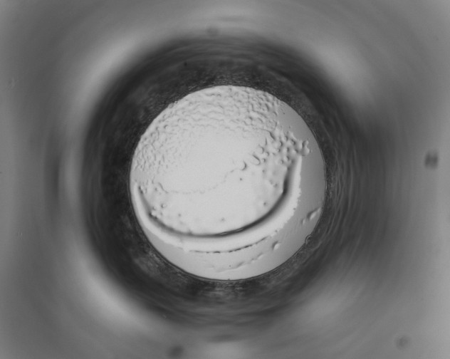 X0000094360383200711301431