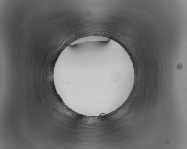 X0000094360384200711301431