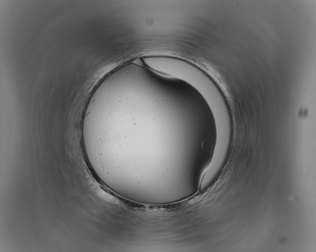 X0000094360385200711301430