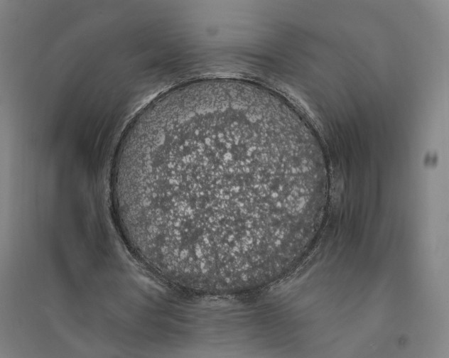 X0000094360386200711301430