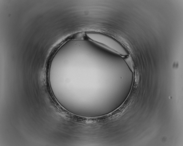 X0000094360388200711301430