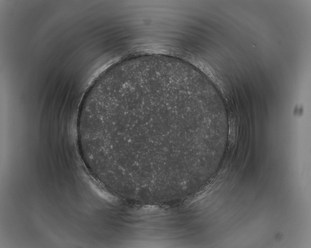 X0000094360390200711301430