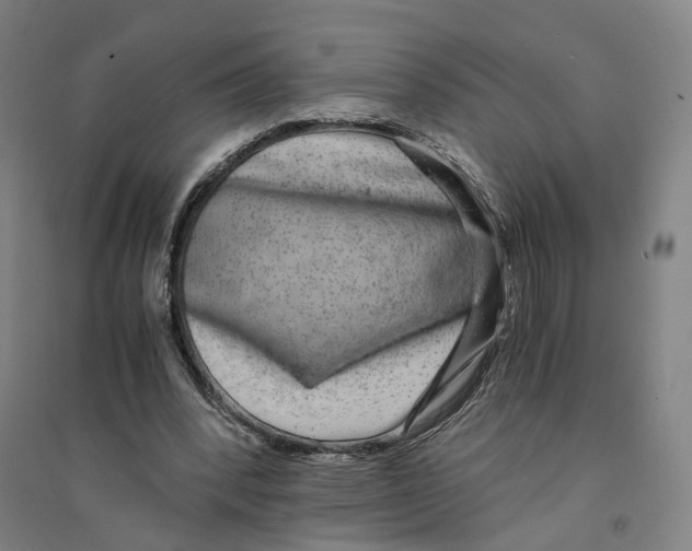 X0000094360392200711301430