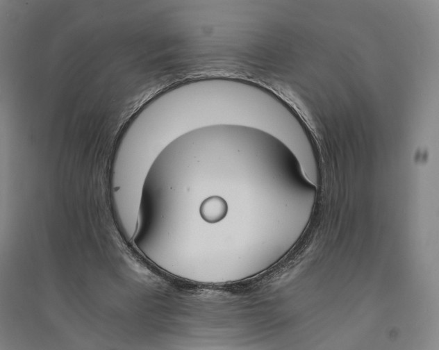X0000094360393200711301430