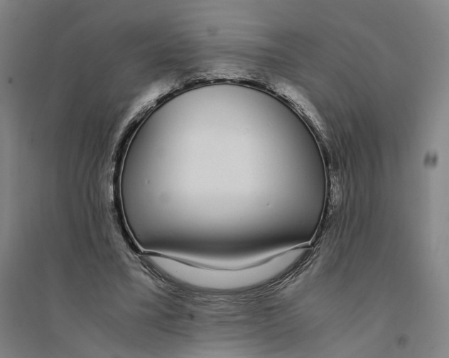 X0000094360395200711301430